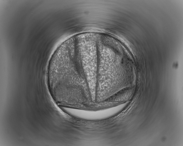 X0000098221379200805151306