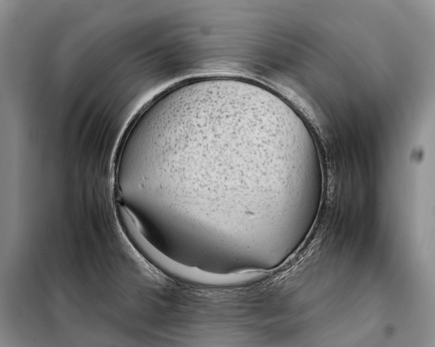 X0000098221380200805151306