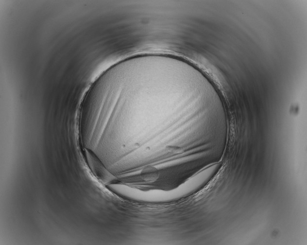 X0000098221382200805151306