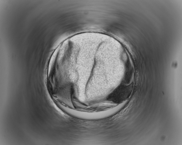 X0000098221383200805151306