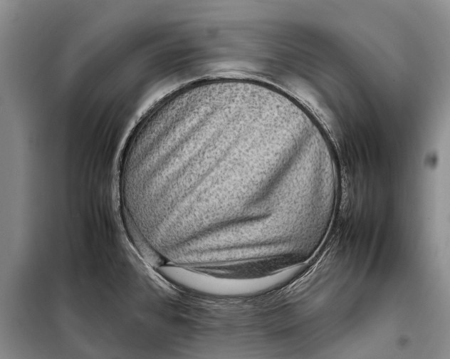 X0000098221384200805151306