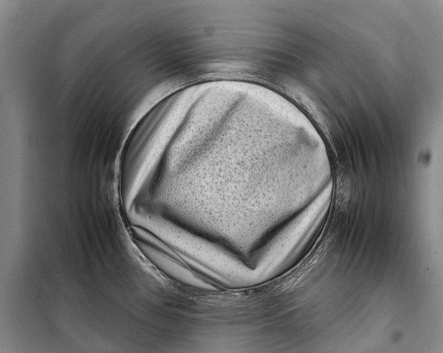 X0000098221386200805151306