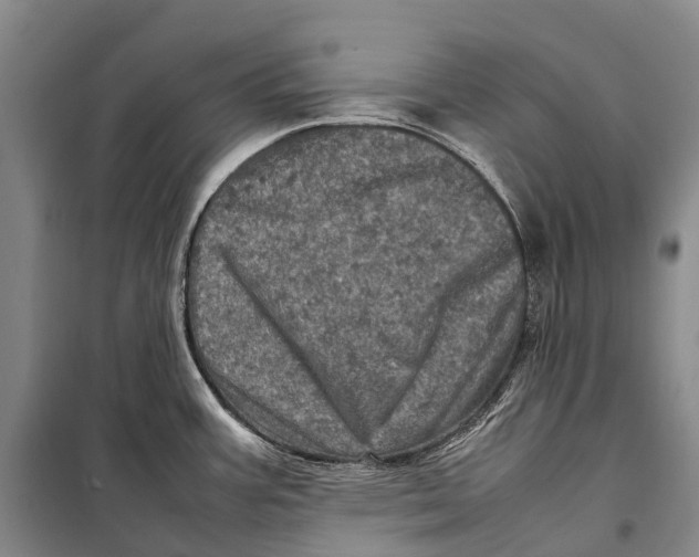 X0000098221387200805151306