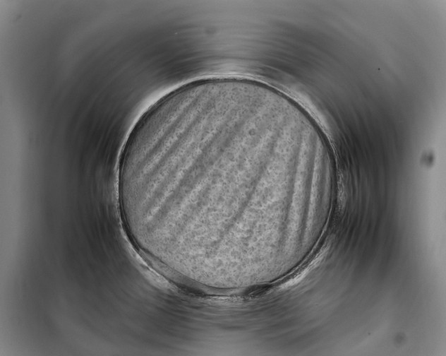 X0000098221388200805151306