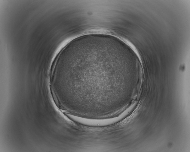 X0000098221389200805151306