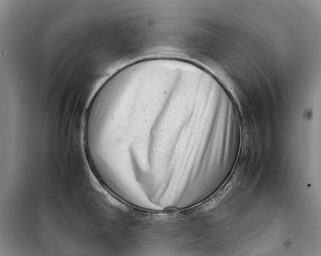 X0000098221390200805151306