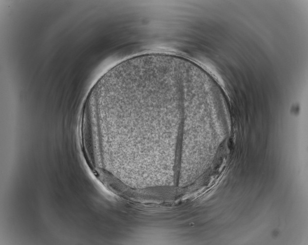 X0000098221391200805151306