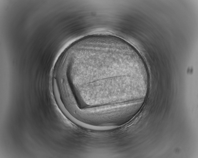 X0000098221392200805151306