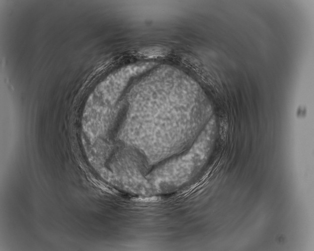 X0000098221393200805151306