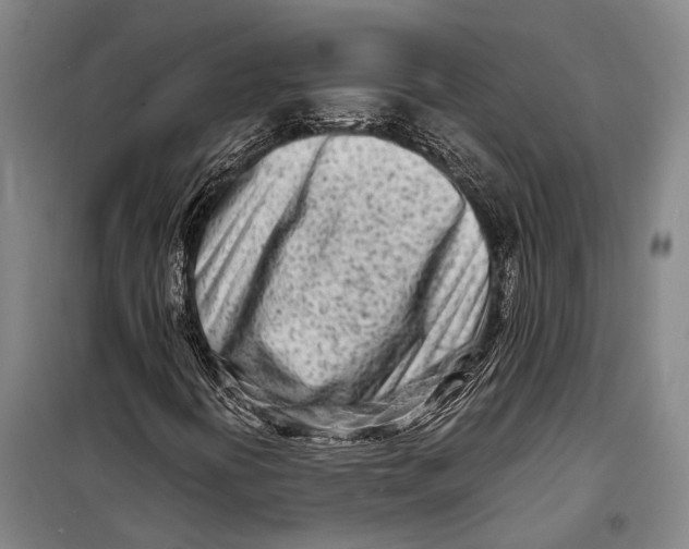 X0000098221394200805151306