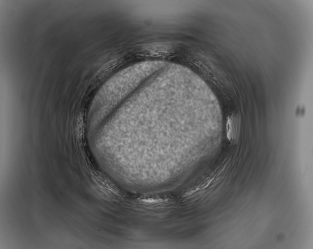 X0000098221395200805151306