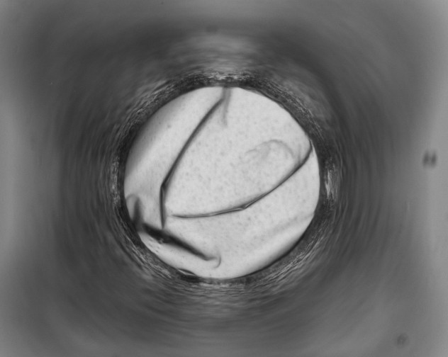 X0000098221396200805151306