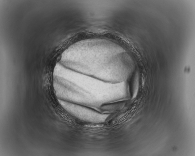 X0000098221397200805151306