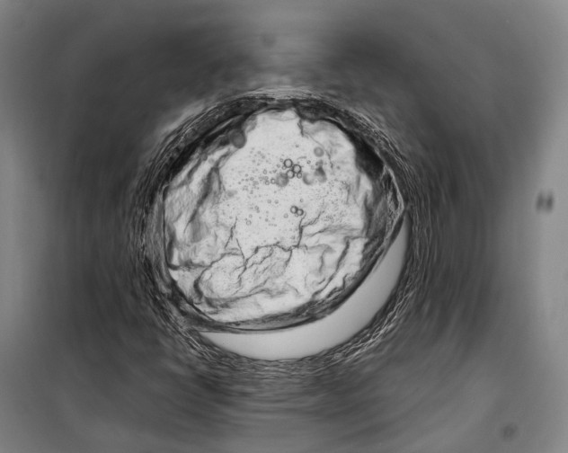 X0000098221398200805151306