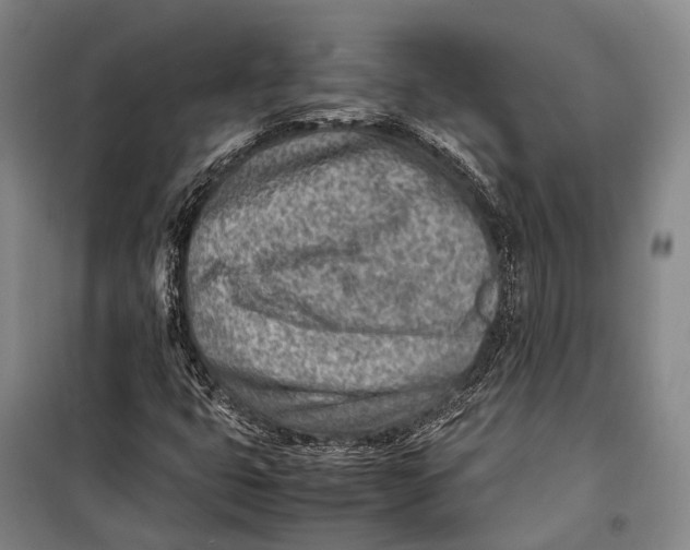 X0000098221399200805151306