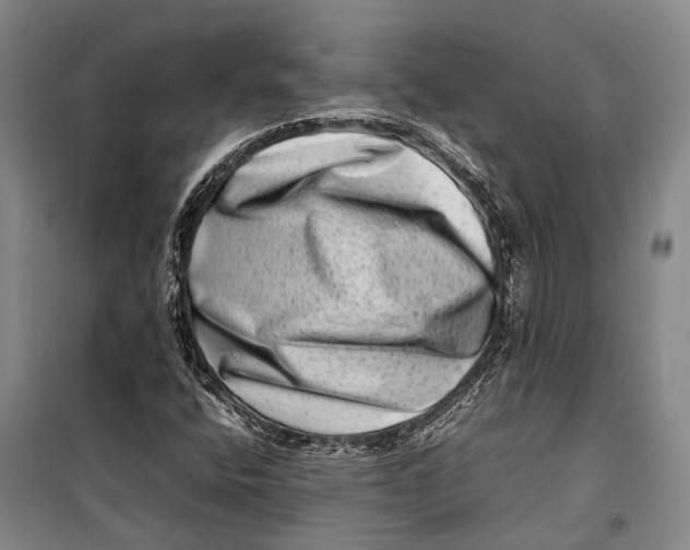 X0000098221400200805151306