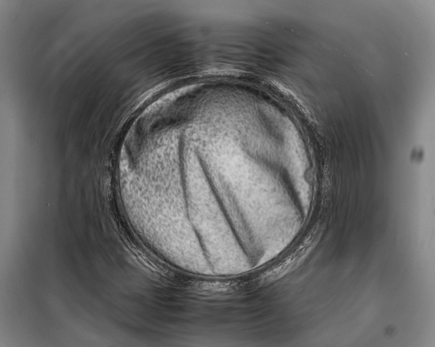 X0000098221401200805151306