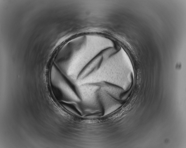 X0000098221404200805151306