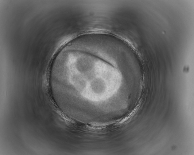 X0000098221405200805151306