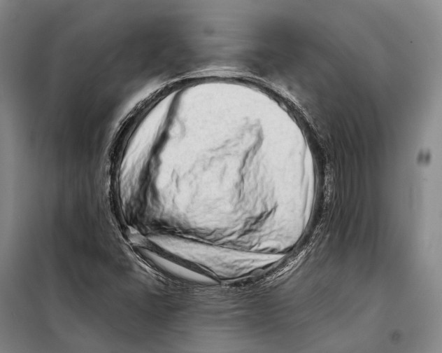 X0000098221406200805151306