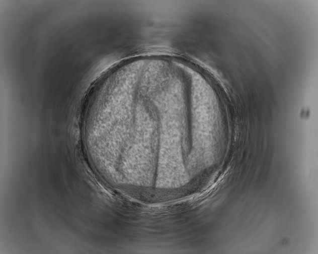 X0000098221407200805151306