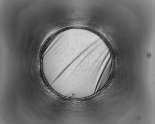 X0000098221408200805151306