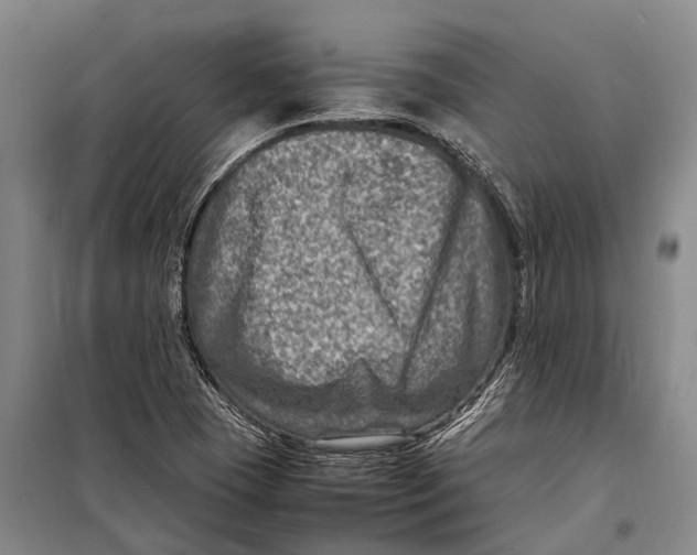 X0000098221409200805151306