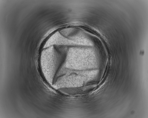 X0000098221410200805151306