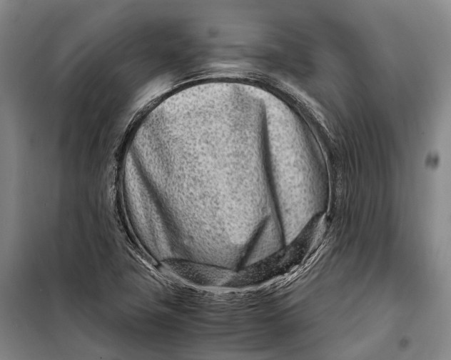 X0000098221411200805151306