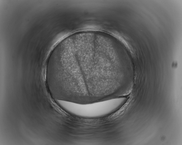 X0000098221413200805151306