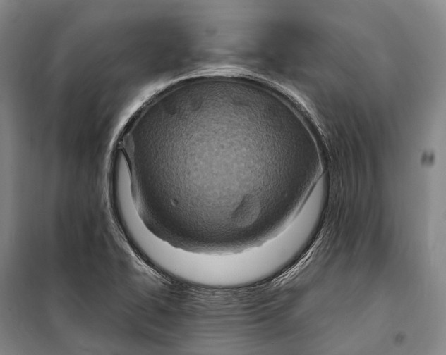 X0000098221414200805151306