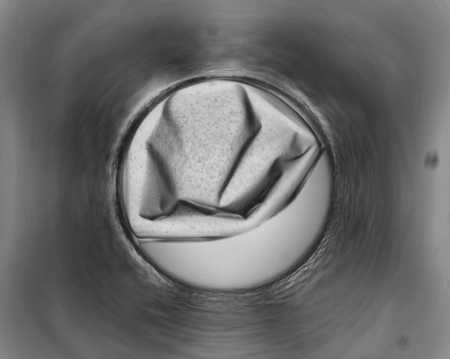 X0000098221416200805151306