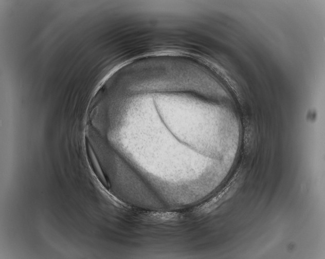 X0000098221417200805151306