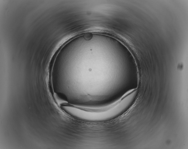 X0000098221418200805151306