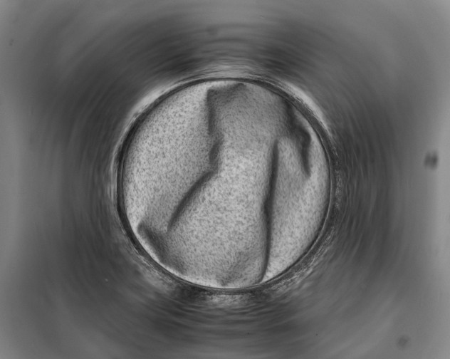 X0000098221419200805151306