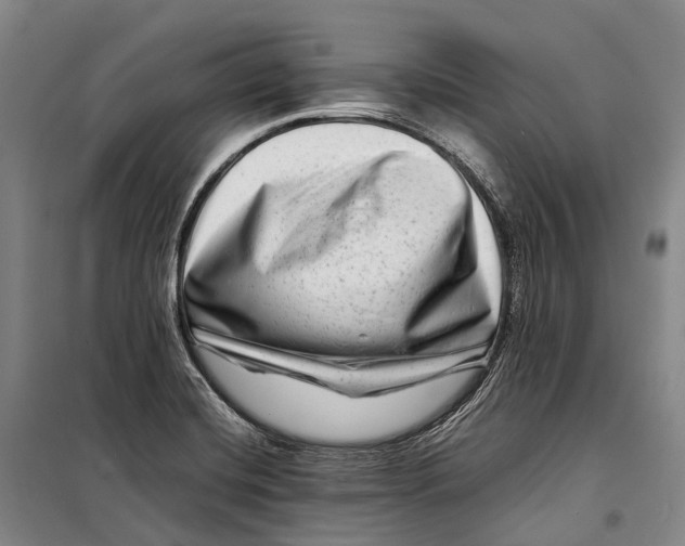 X0000098221420200805151306