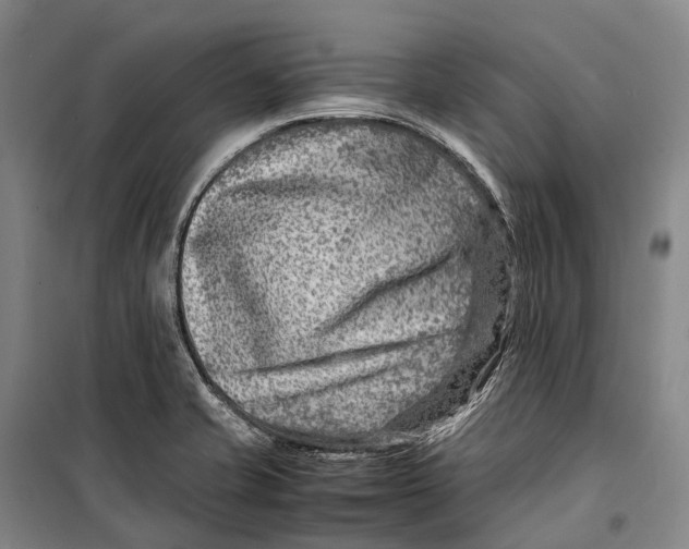 X0000098221421200805151306