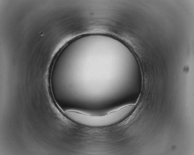 X0000098221422200805151306