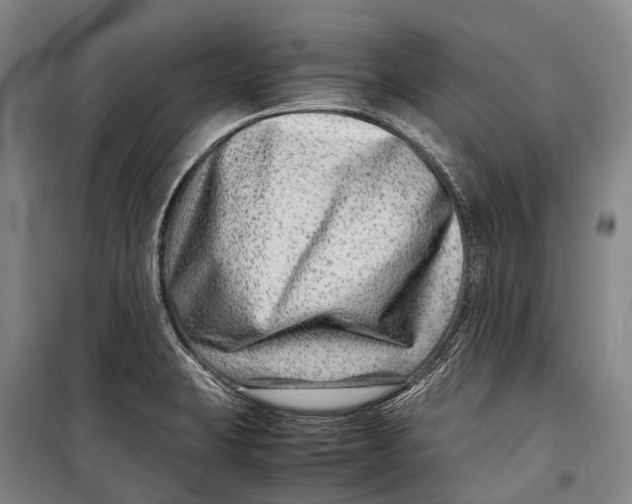 X0000098221423200805151306