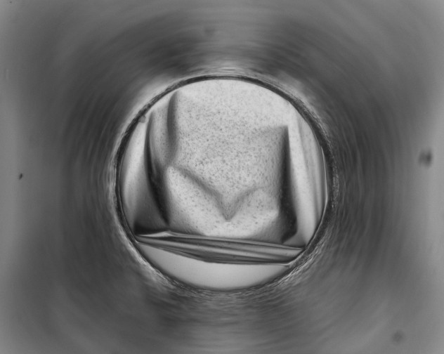 X0000098221424200805151306