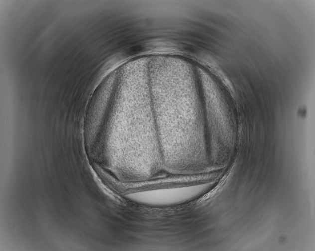 X0000098221425200805151306