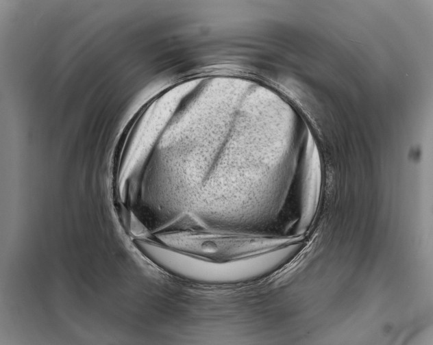 X0000098221426200805151306