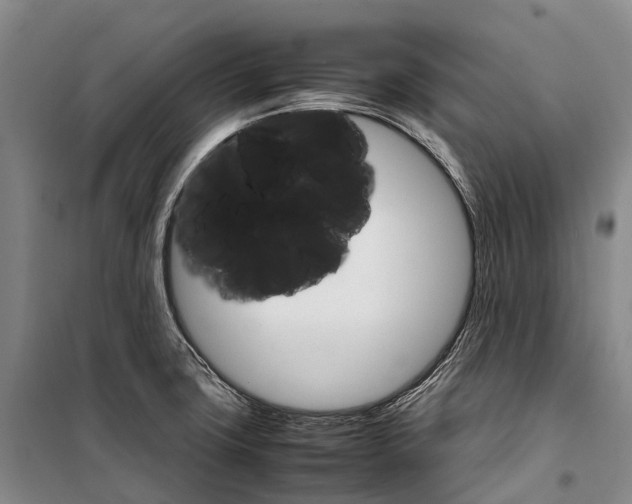 X0000098221427200805151306