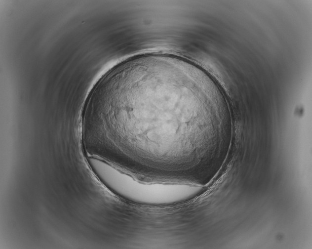 X0000098221428200805151306