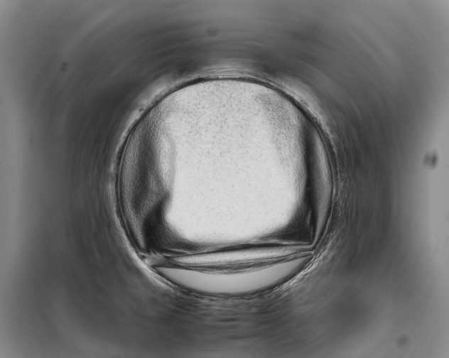 X0000098221429200805151306