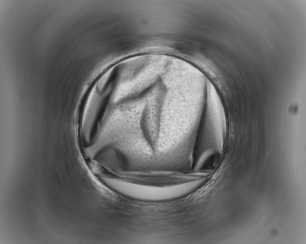 X0000098221430200805151306