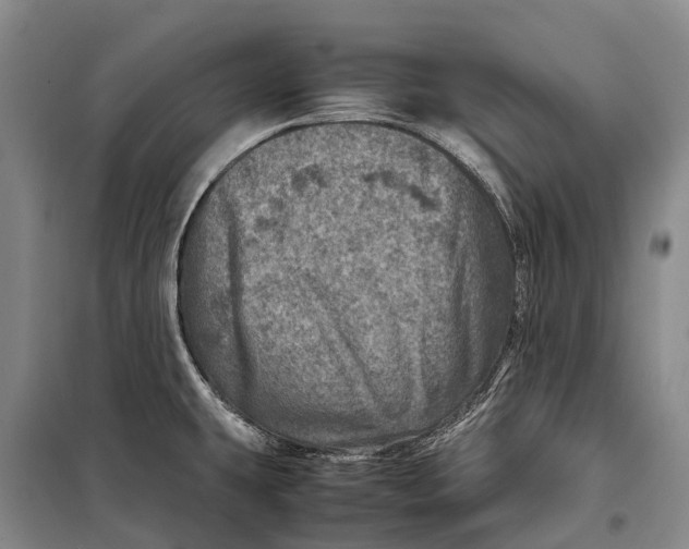 X0000098221431200805151306