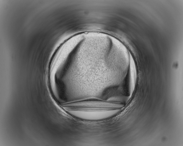 X0000098221432200805151306