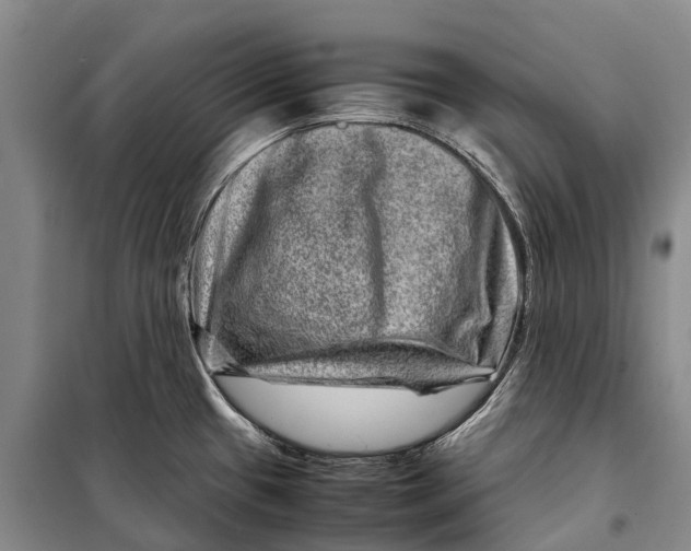 X0000098221433200805151306