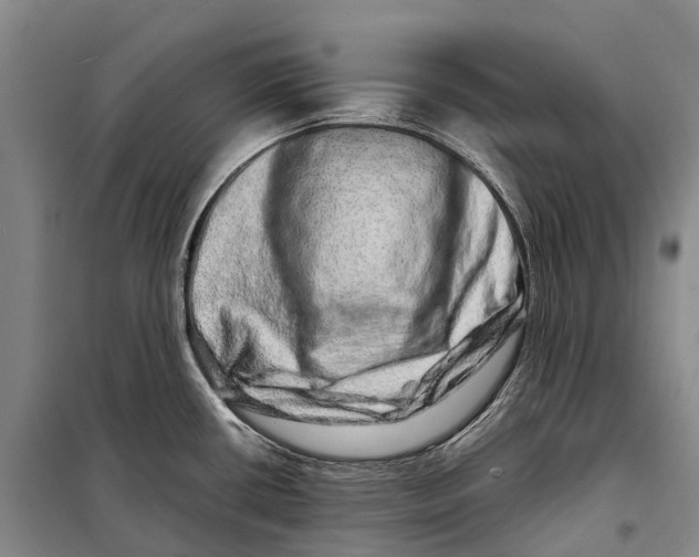 X0000098221434200805151306